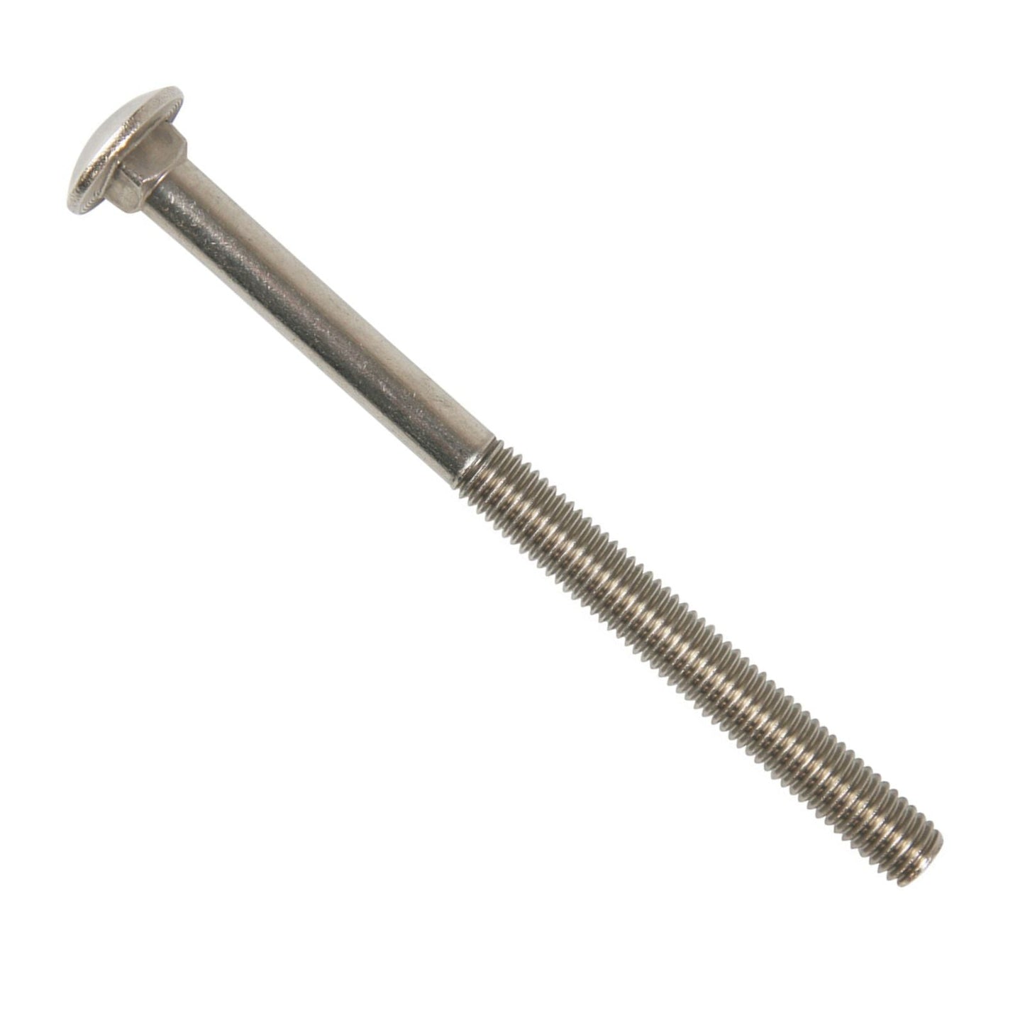 Conquest 18-8 stainless steel carriage bolt