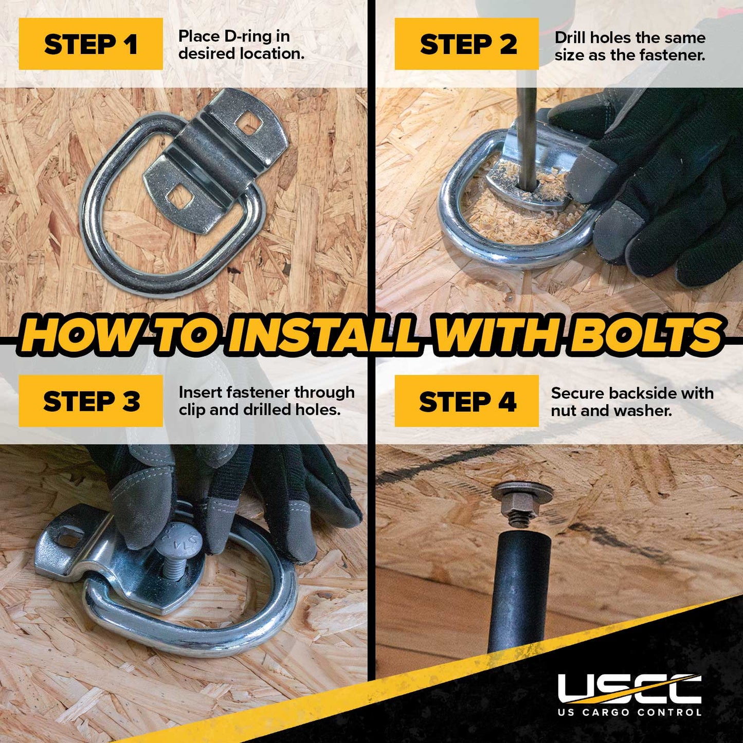 1" Bolt-On D-Ring with Mounting Bracket - 316 Stainless - 800 lbs. BS