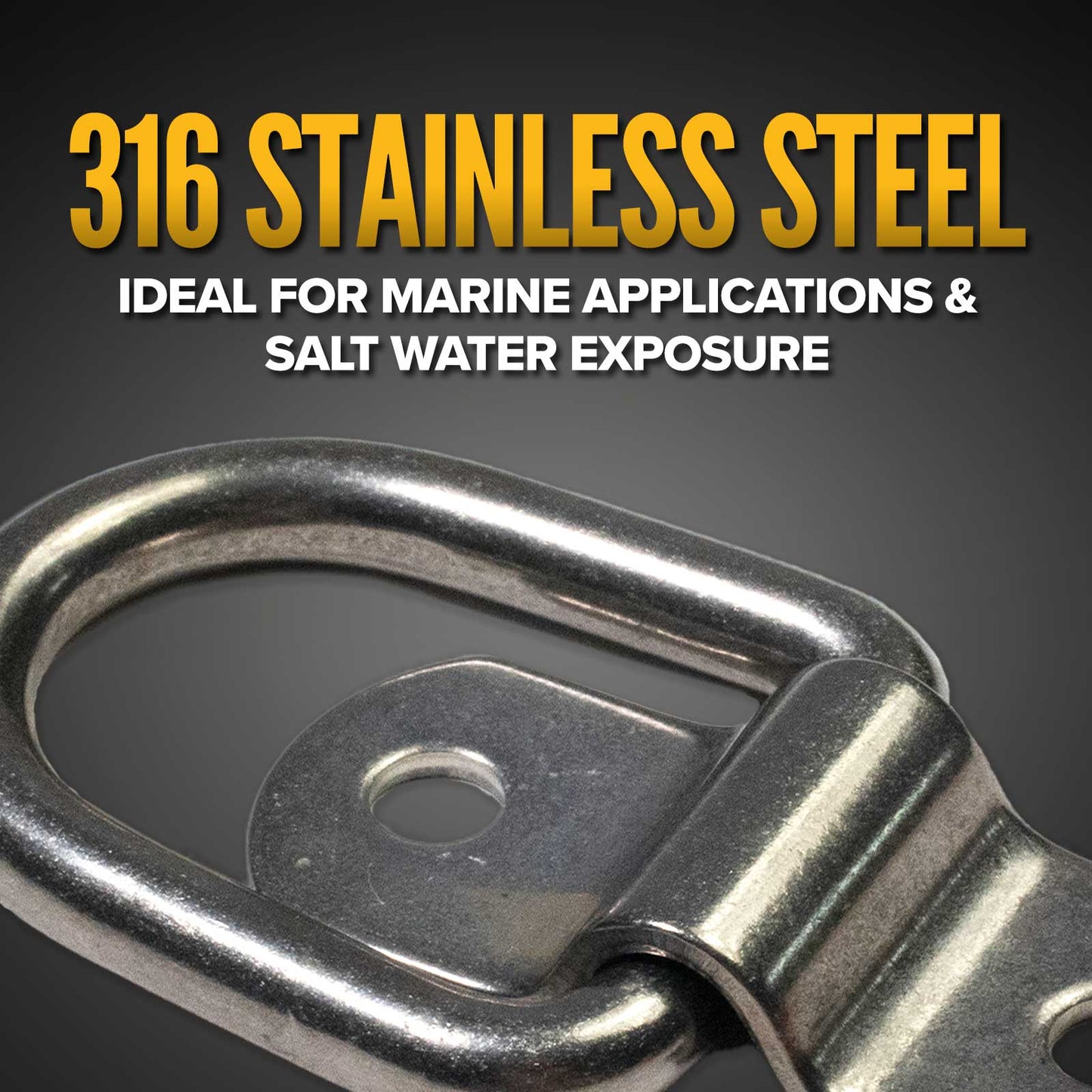 1" Bolt-On D-Ring with Mounting Bracket - 316 Stainless - 800 lbs. BS