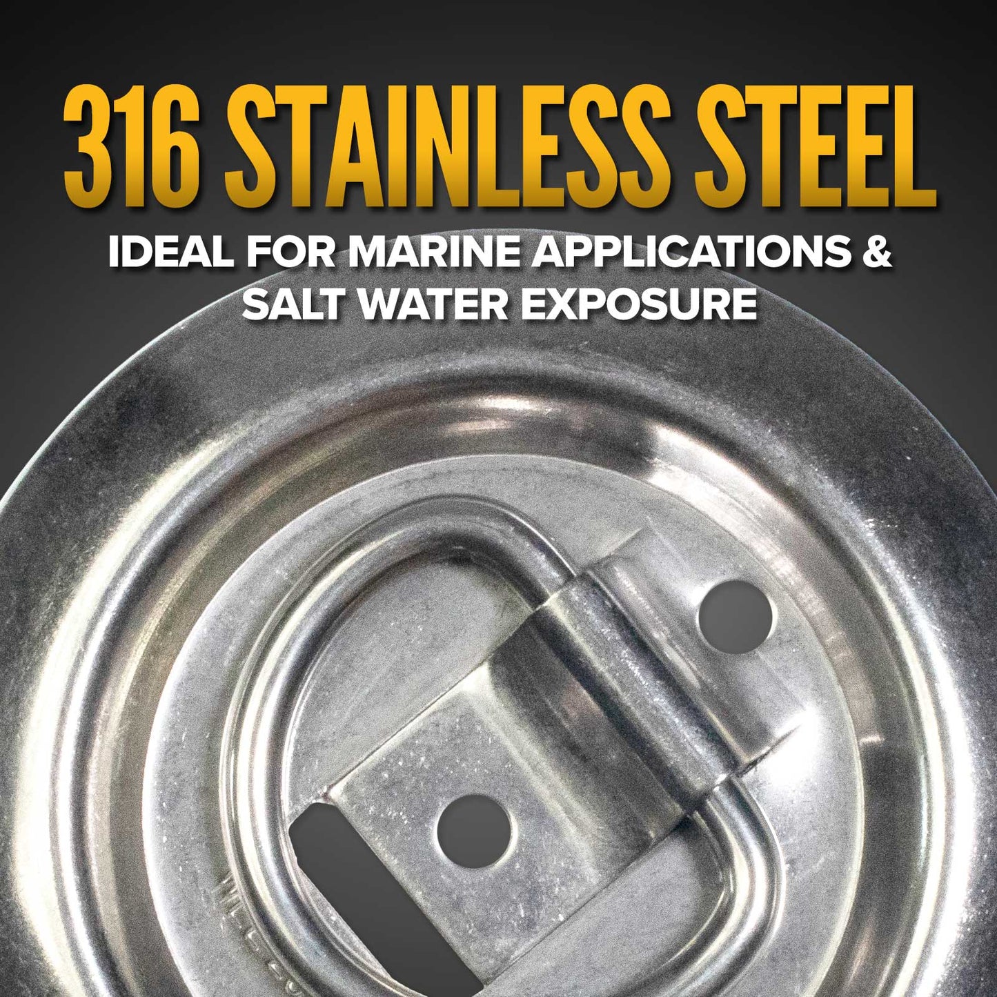 Bolt-On Flush-Mount D-Ring - 316 Stainless - 800 lbs. BS
