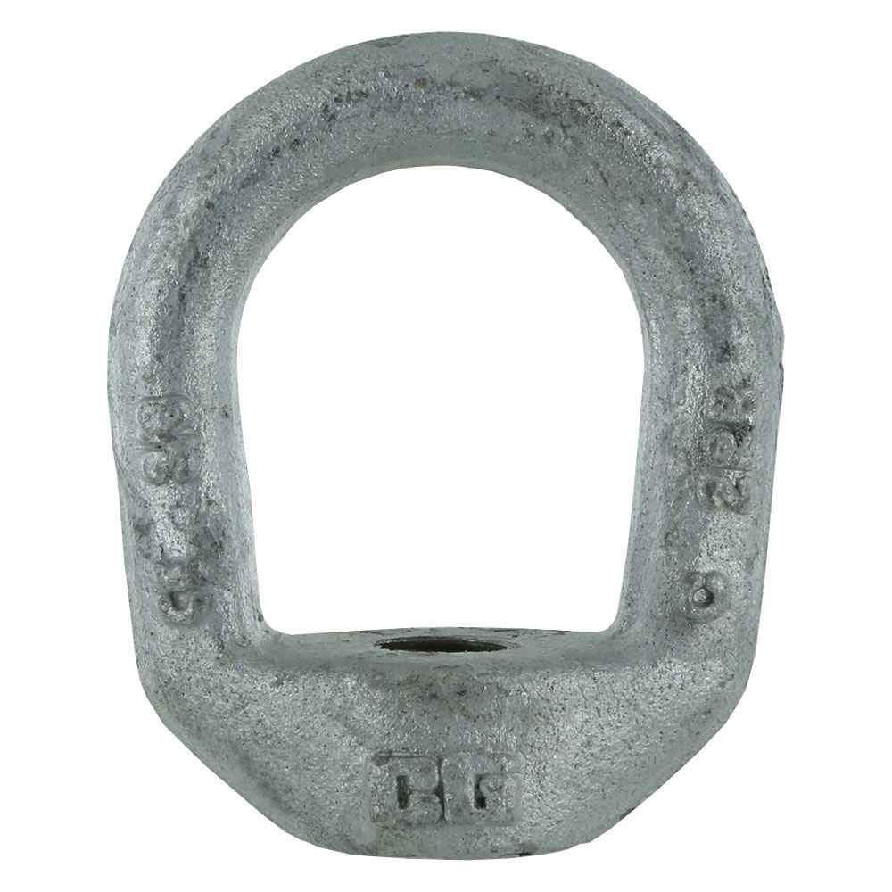 Crosby® 2 inch Galvanized Eye Nut G400 image 1 of 2