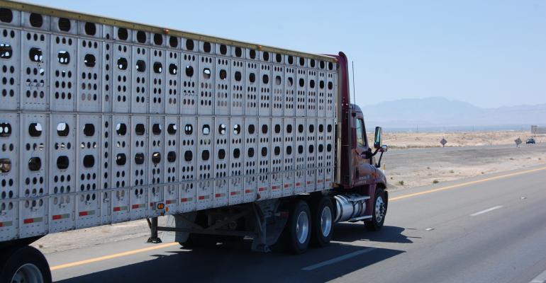hours of service exemption for livestock haulers