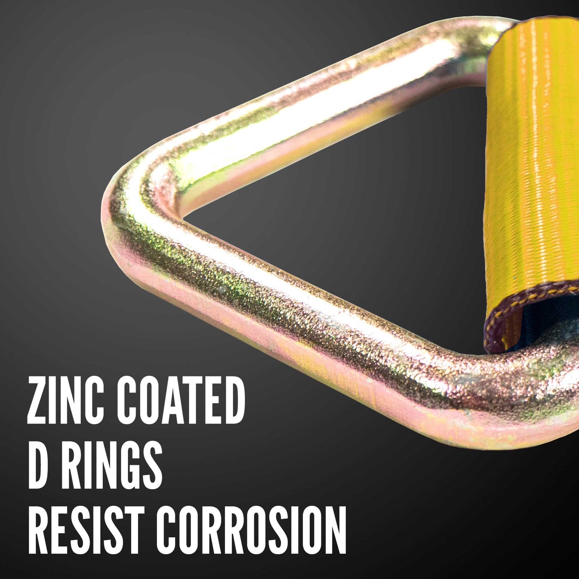 corrosion resistent D rings