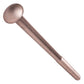 3/4"-10 x 14" Conquest Carriage Bolt - 304 Stainless Steel