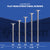 Conquest Structural Screw - T-30 Star Drive - Available Sizes