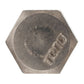 1/4"-10 x 1-1/4" Conquest Hex Head Lag Bolt for Wood - 304 Stainless Steel