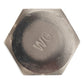 3/4"-4-1/2 x 6" Conquest Hex Head Lag Bolt for Wood - 304 Stainless Steel