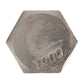 5/16"-9 x 4" Conquest Hex Head Lag Bolt for Wood - 304 Stainless Steel