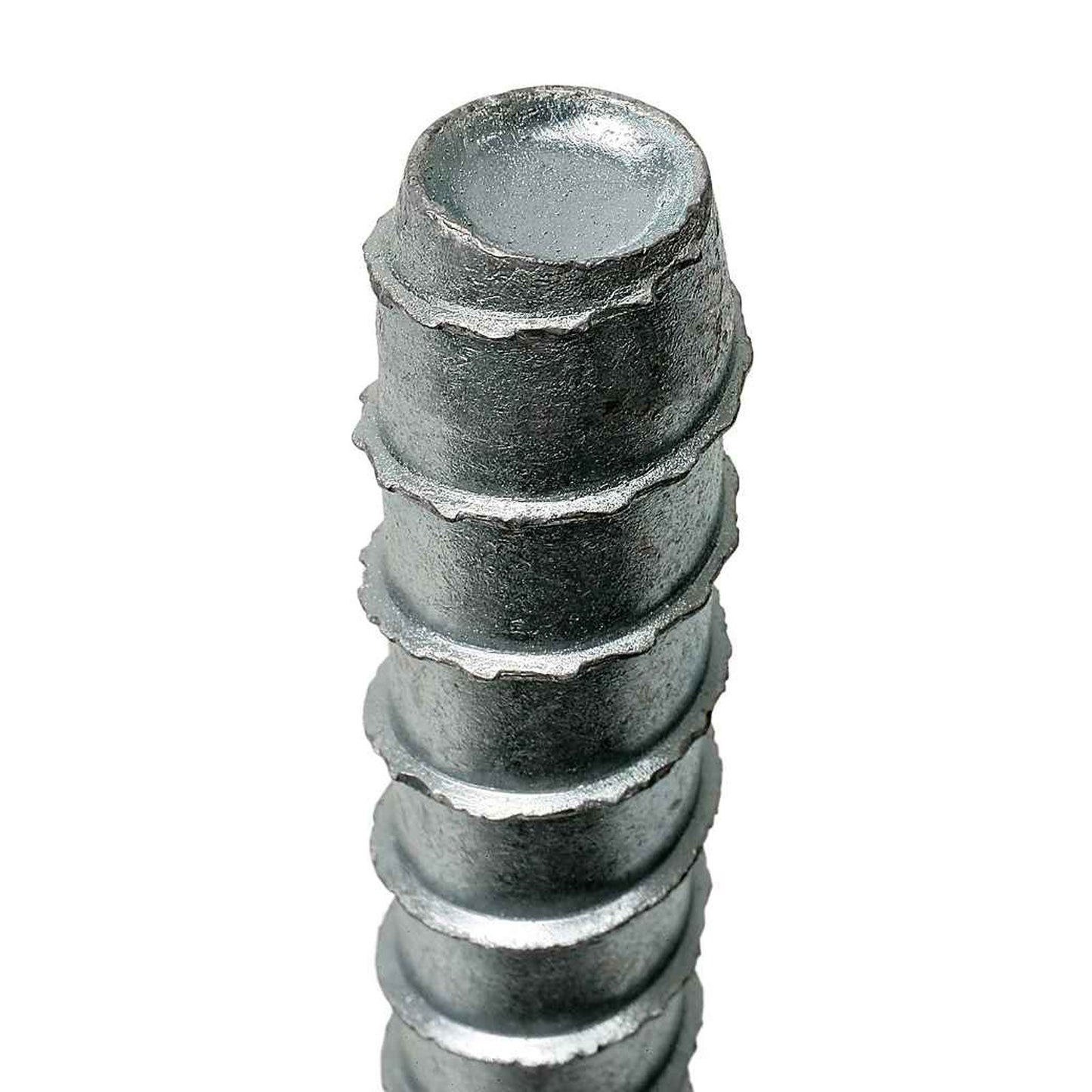 THD Teeth Close Up