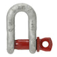 1/2" Crosby® Screw Pin Chain Shackle | G-210 - 2 Ton primary image