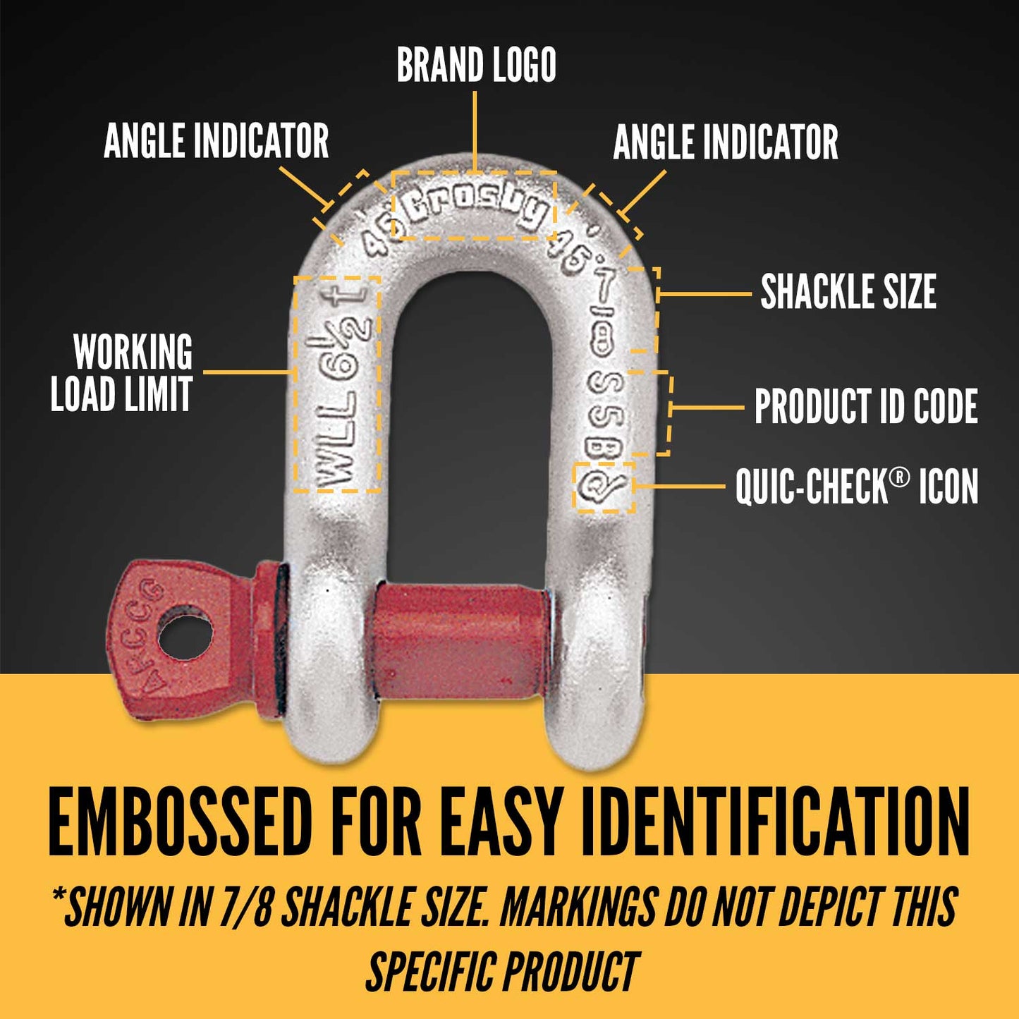 1/2" Crosby® Screw Pin Chain Shackle | G-210 - 2 Ton embossed for easy identification