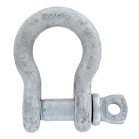 1" Crosby® Alloy Screw Pin Anchor Shackle | G-209A - 12.5 Ton primary image