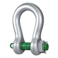 10-1/4" Van Beest Green Pin® Bolt Type Anchor Shackle | P-6036 - 1,250 Ton primary image