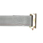 2 inch x 16 foot Gray Sliding E Track Ratchet Strap w Spring EFittings image 4 of 9