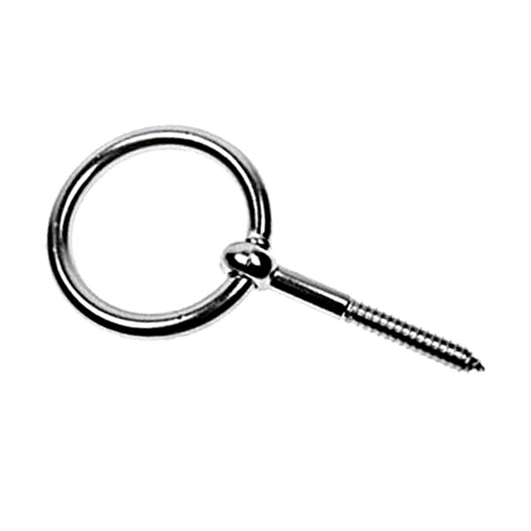 法螺貝 NO−49S ホラ貝、和太鼓、修験道 法螺貝 NO−49S ホラ貝