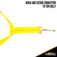 Yellow Adjustable Tow Dolly Strap with 2 Top Strap and Twisted Snap Hook 2 pack image 5 of 8